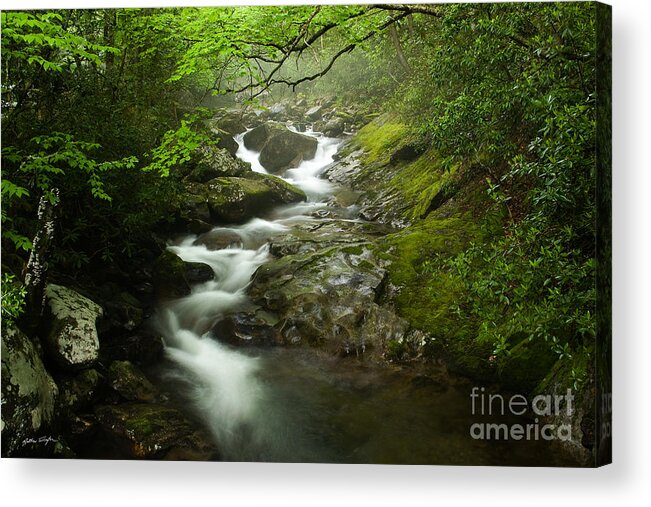 Stream Acrylic Print featuring the photograph Mountain Stream 2010 by Matthew Turlington