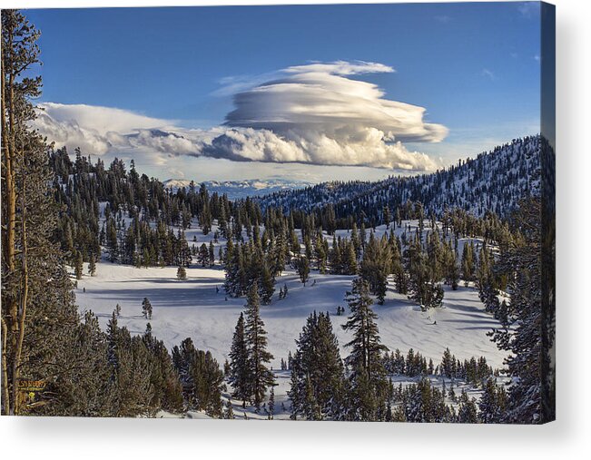 Mt. Acrylic Print featuring the photograph Mt. Rose Meadow near Lake Tahoe, Nevada by Steve Ellison