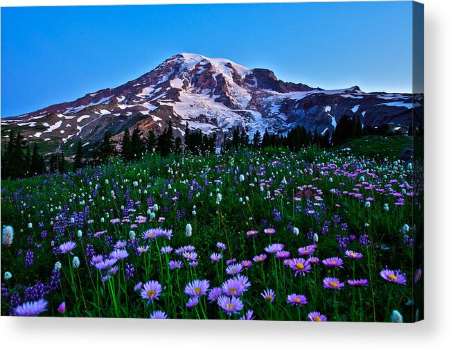  Mt.rainier National Park Acrylic Print featuring the photograph Mt.Rainier Subalpine wildflowers by Hisao Mogi