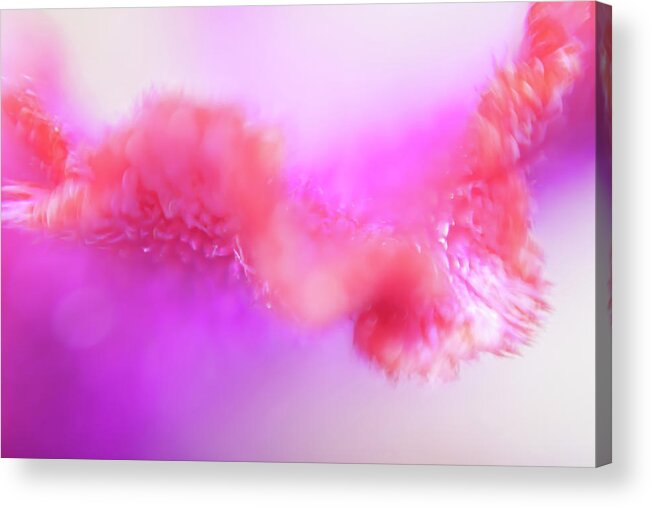Concepts & Topics Acrylic Print featuring the digital art Multicolored Abstract Pattern by Ralf Hiemisch