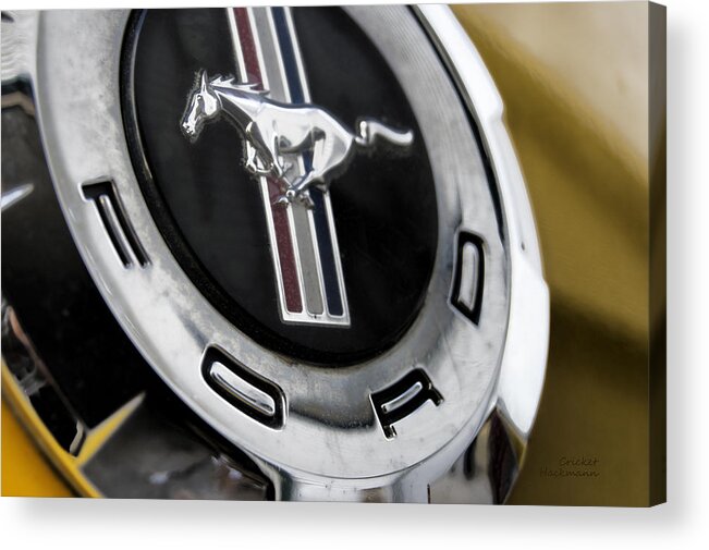 Mustang Acrylic Print featuring the photograph Mustang Memories by Cricket Hackmann