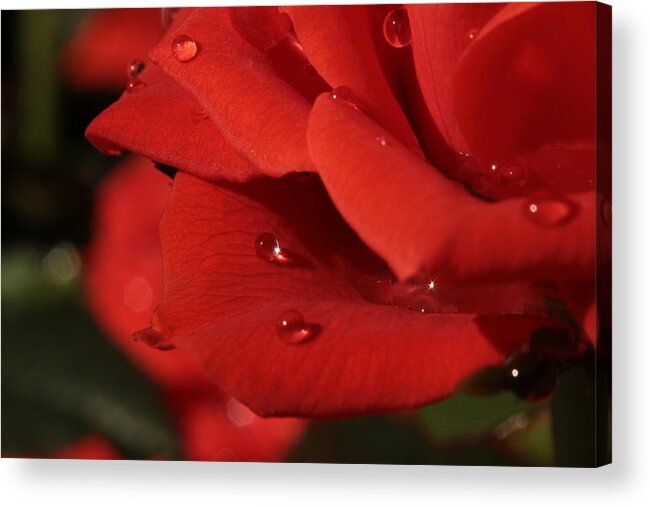  Valentine's Day Acrylic Print featuring the photograph My Love ... You Sparkle by Connie Handscomb