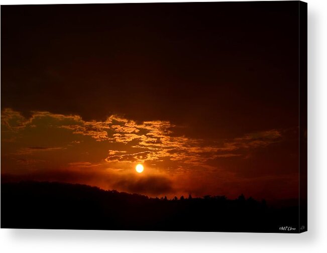 My Morning Manna Acrylic Print featuring the photograph My Morning Manna by Maria Urso