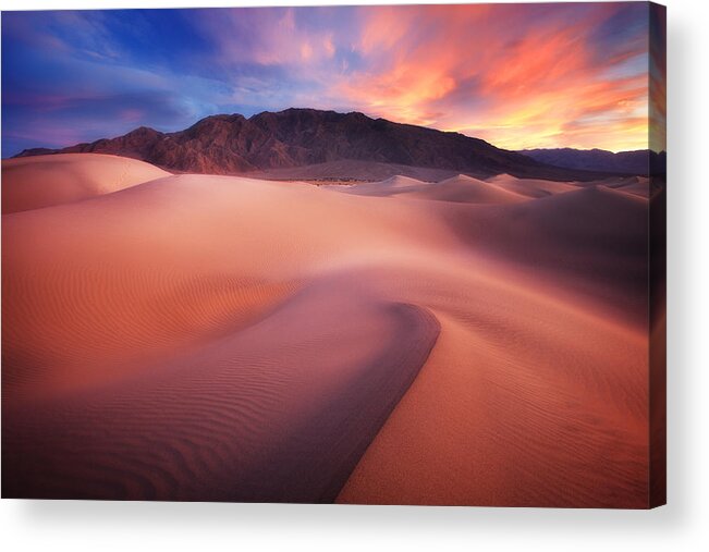 Landscape Acrylic Print featuring the photograph Mysterious Mesquite by Darren White