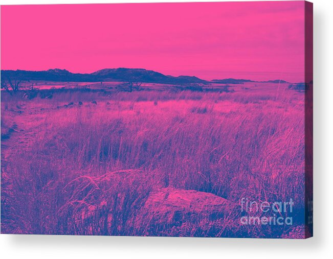 Landscape Acrylic Print featuring the photograph Mystical Red by Mickey Harkins