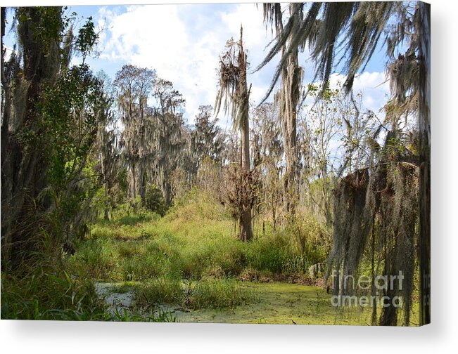 Florida Acrylic Print featuring the photograph Natural Beauty by Carol Bradley
