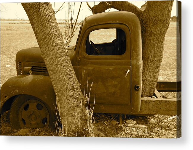 Old Truck Acrylic Print featuring the photograph Nature Wins by Artist Orange