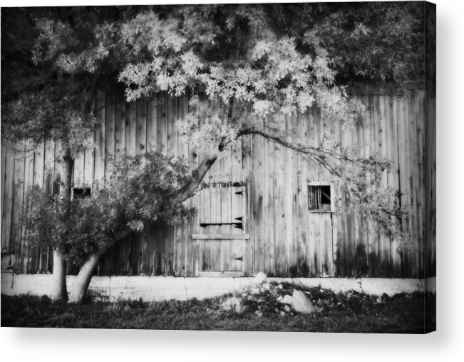 Barn Acrylic Print featuring the photograph Natures Awning BW by Julie Hamilton