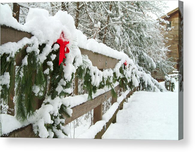 Christmas Acrylic Print featuring the photograph Nature's decorations by Michael McGowan