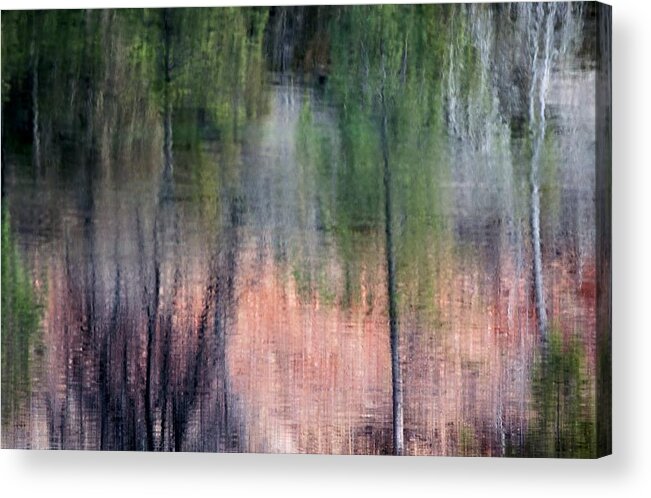 Lake Acrylic Print featuring the photograph Nature's Mirror by Donald J Gray