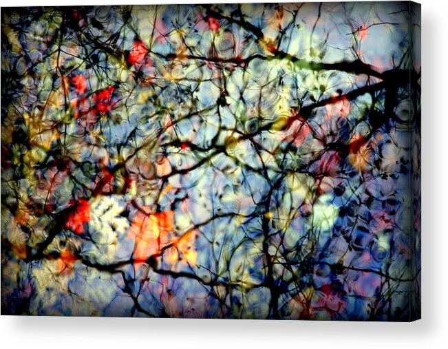 Nature Abstracts Acrylic Print featuring the photograph Natures Stained Glass by Karen Wiles