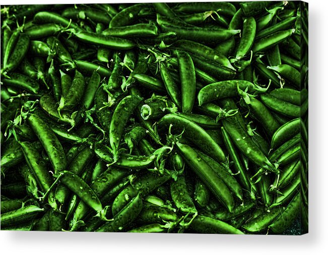 Peapods Acrylic Print featuring the photograph Neon Green PeaPods by Cathy Anderson