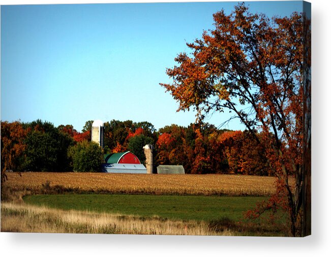 Autumn Acrylic Print featuring the photograph Nestled Among The Autumn Woods by Kay Novy