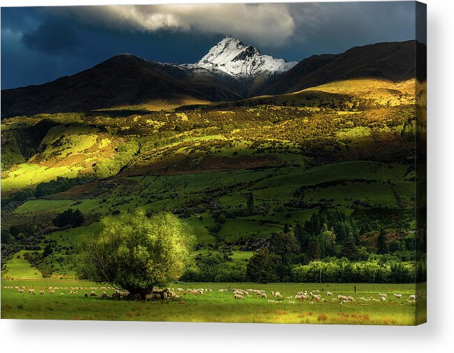 Snow Acrylic Print featuring the photograph New Zealand Green Field And Mountain by Coolbiere Photograph