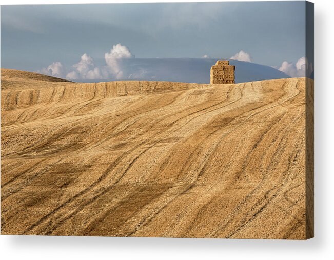 Tranquility Acrylic Print featuring the photograph Newly Baled Hay In A Tuscan Field by Michele Berti