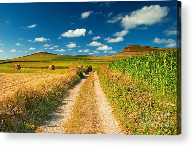 Nice Acrylic Print featuring the photograph Nice landscape summer by Boon Mee