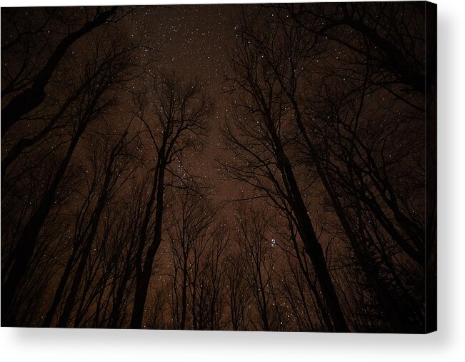 Night Sky Acrylic Print featuring the photograph Night Sky Magic by Kathryn Lund Johnson