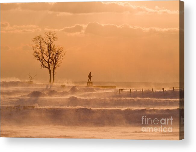 Park Acrylic Print featuring the photograph No Walk in the Park by Butch Lombardi