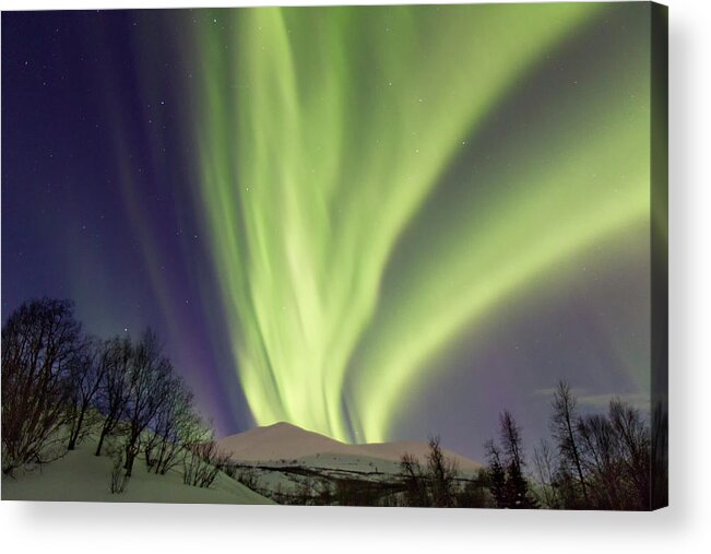 Tranquility Acrylic Print featuring the photograph Northern Lights by Alaska Photography