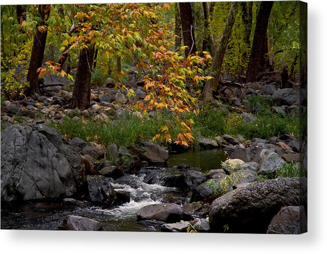 Oak Creek Canyon Acrylic Print featuring the photograph Oak Creek Canyon H by Tom Kelly