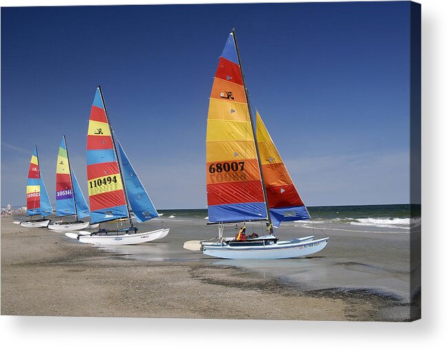 Ocean City Acrylic Print featuring the photograph Ocean City Cats by Dan Myers