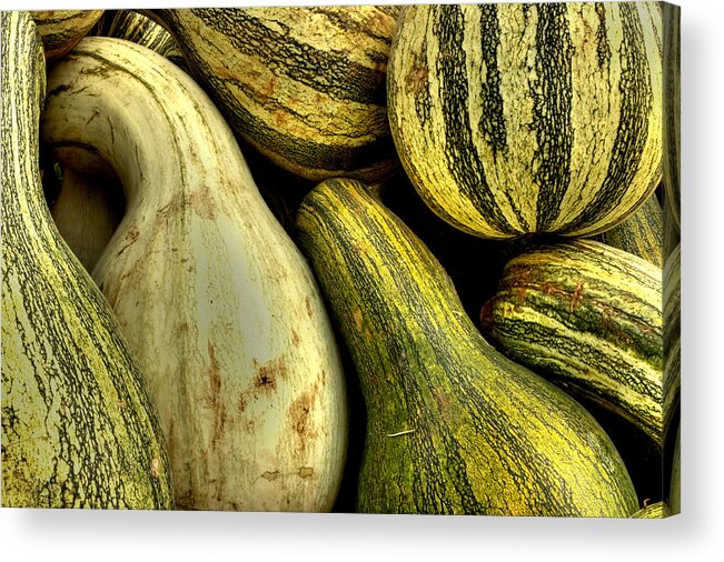 Gourds Acrylic Print featuring the photograph October Gourds by Michael Eingle