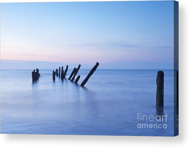 Blue Acrylic Print featuring the photograph Old Jetty Posts at Sunrise by Colin and Linda McKie