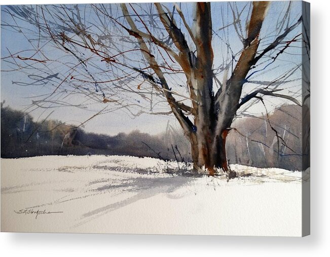 Sandra L Strohschein Acrylic Print featuring the painting Old Oak White Road by Sandra Strohschein