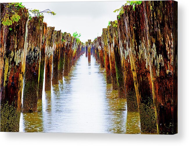 Material Acrylic Print featuring the photograph Old Pilings In Shallow Water On The by Mint Images - Art Wolfe