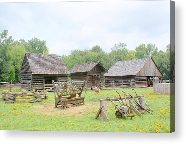 Barns Acrylic Print featuring the photograph Old Plantation Barns by Bill TALICH