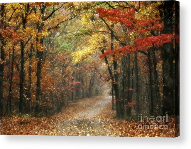 Natchez Trace Acrylic Print featuring the photograph Old Trace Fall - Along the Natchez Trace in Tennessee by T Lowry Wilson
