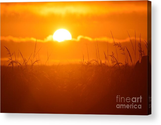 Sun Acrylic Print featuring the photograph Ona Beach Sate Park by Sheldon Blackwell