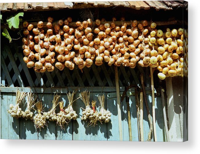 Garlic Acrylic Print featuring the photograph Onion and garlic harvest by Emanuel Tanjala