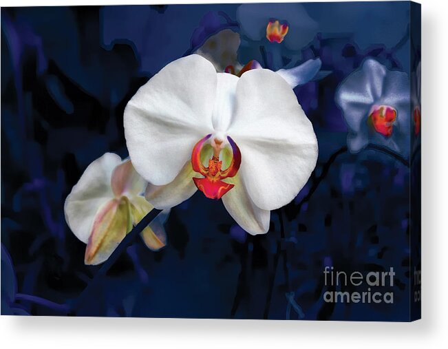 Orchid Acrylic Print featuring the photograph Exotic Orchid 25 by Carlos Diaz