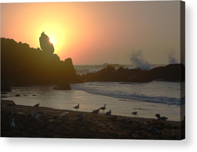 Coastline Acrylic Print featuring the photograph Oregon Sunset by Ron Roberts