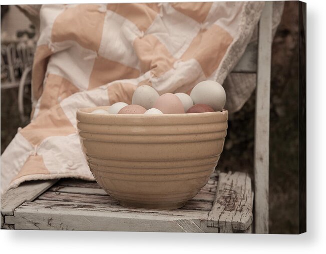 Eggs Acrylic Print featuring the photograph Organic Eggs by Toni Hopper