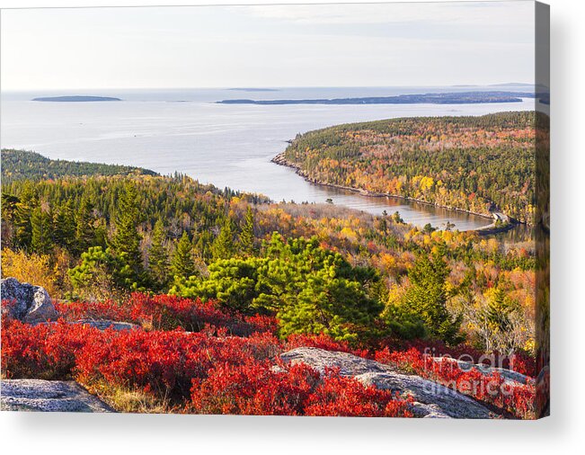 Acadia Acrylic Print featuring the photograph Otter Cove from Gorham Mountain in Autumn Acadia National Park by Ken Brown