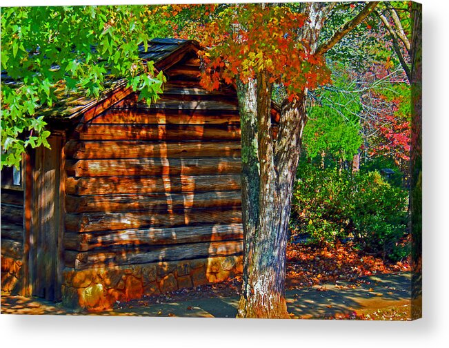 Outhouse Acrylic Print featuring the photograph Outhouse AJSP by Andy Lawless