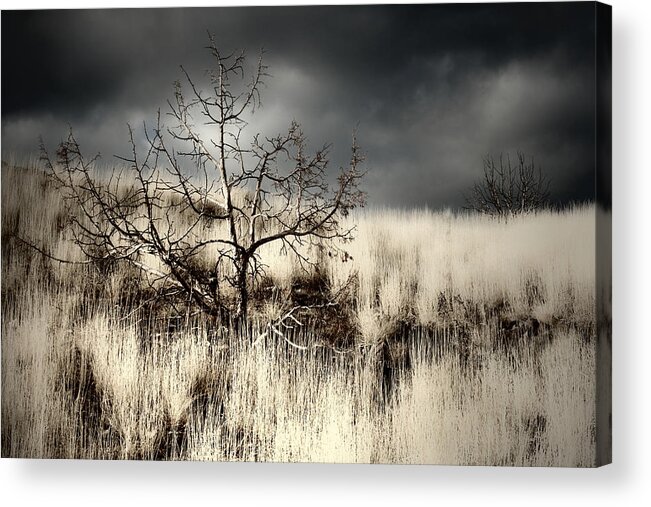 Storm Acrylic Print featuring the photograph Over Your Shoulder by Mark Ross