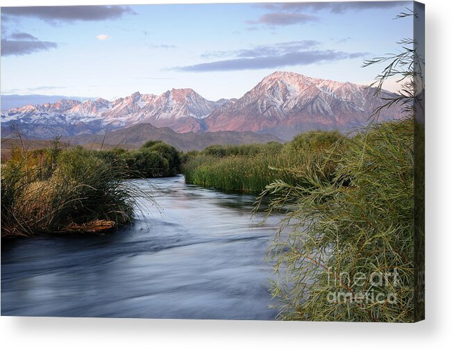 Sierra Nevada Acrylic Print featuring the photograph Owens River Sunrise by Daniel Ryan