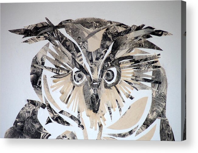 Owl Acrylic Print featuring the mixed media owl by Jolly Van der Velden