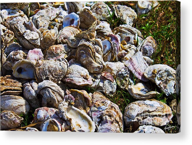 Oyster Acrylic Print featuring the photograph Oysters 01 by Melissa Fae Sherbon