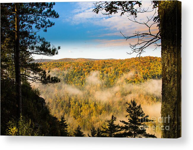 Pennsylvania Grand Canyon Acrylic Print featuring the photograph PA Grand Canyon by Ronald Lutz