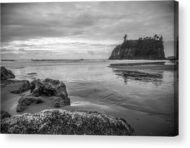 Olympic National Park Acrylic Print featuring the photograph Pacific Coast by Kristopher Schoenleber
