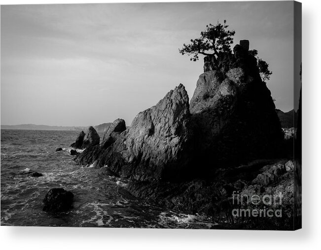 Pacific Acrylic Print featuring the photograph Pacific Island Tree by Dean Harte