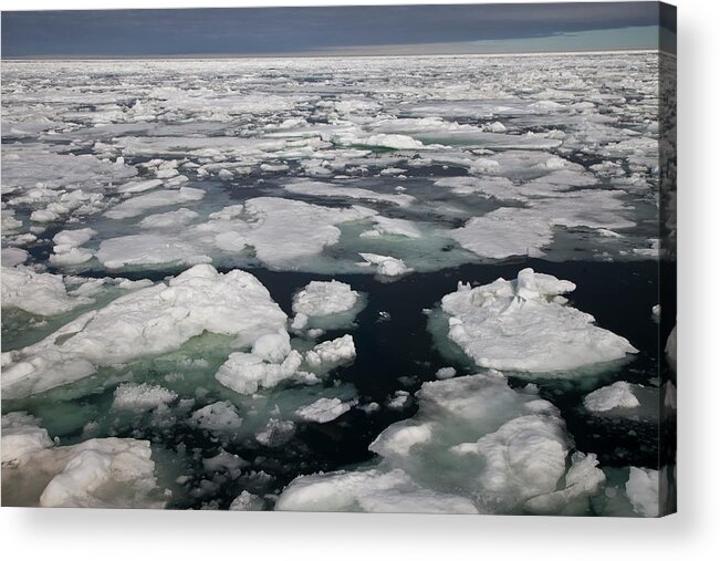 Tranquility Acrylic Print featuring the photograph Pack Ice Along Arctic Ocean Spitsbergen by Darrell Gulin