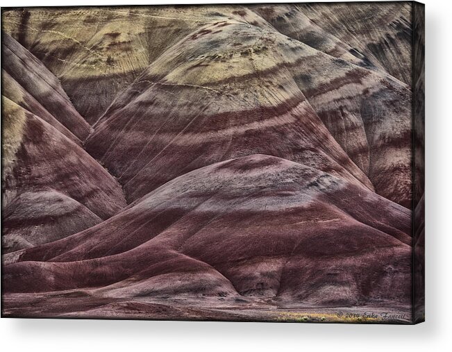 Hills Acrylic Print featuring the photograph Painted Hills by Erika Fawcett