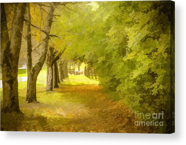 Painterly Forest Trail Acrylic Print featuring the photograph Painterly Pathway by Jim Lepard