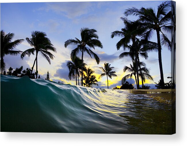 Palm Tree Acrylic Print featuring the photograph Palm wave by Sean Davey
