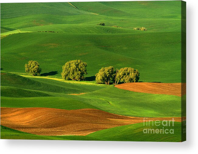 Palouse Acrylic Print featuring the photograph Palouse Green by Beve Brown-Clark Photography